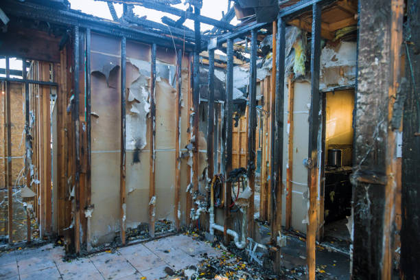 Professional Fire Damage Removal technician working in Wilton, CA